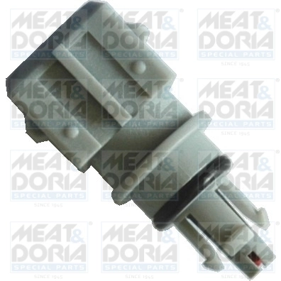 Sensor, intake air temperature